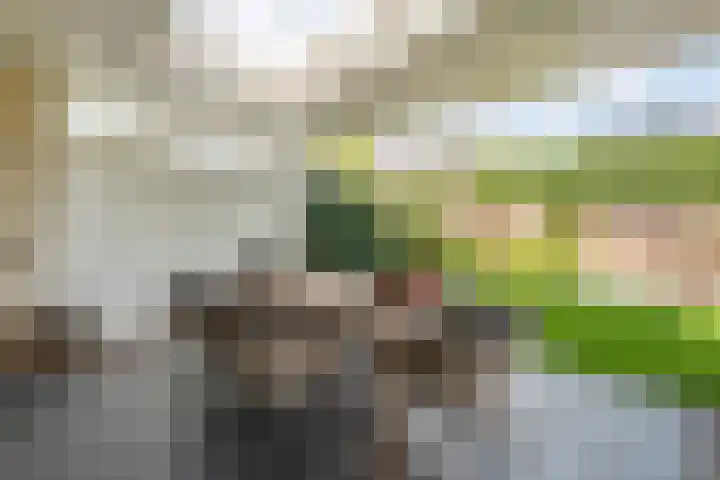 Roeterskamp 9 Hardenberg thumbnail 50