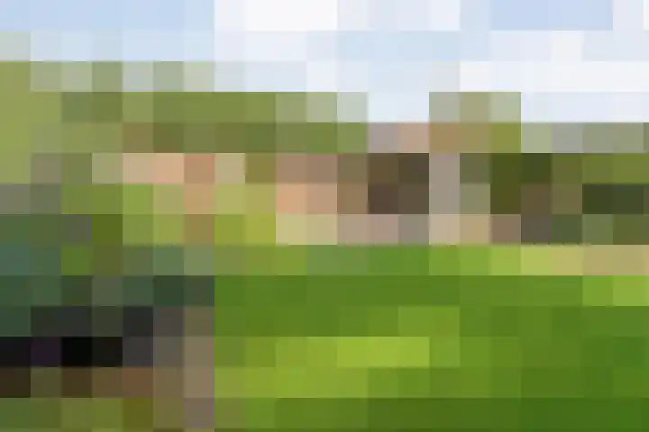 Roeterskamp 9 Hardenberg thumbnail 51