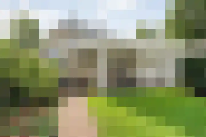 Roeterskamp 9 Hardenberg thumbnail 53