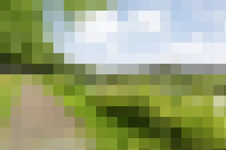 Roeterskamp 9 Hardenberg thumbnail 56