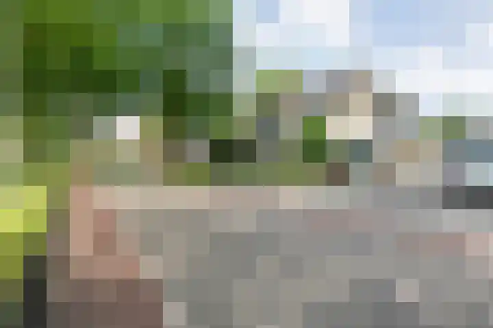 Roeterskamp 9 Hardenberg thumbnail 7
