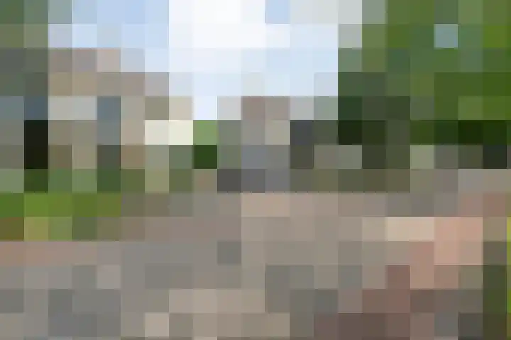Roeterskamp 9 Hardenberg thumbnail 8