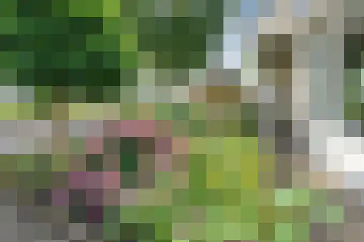 Roeterskamp 9 Hardenberg thumbnail 9