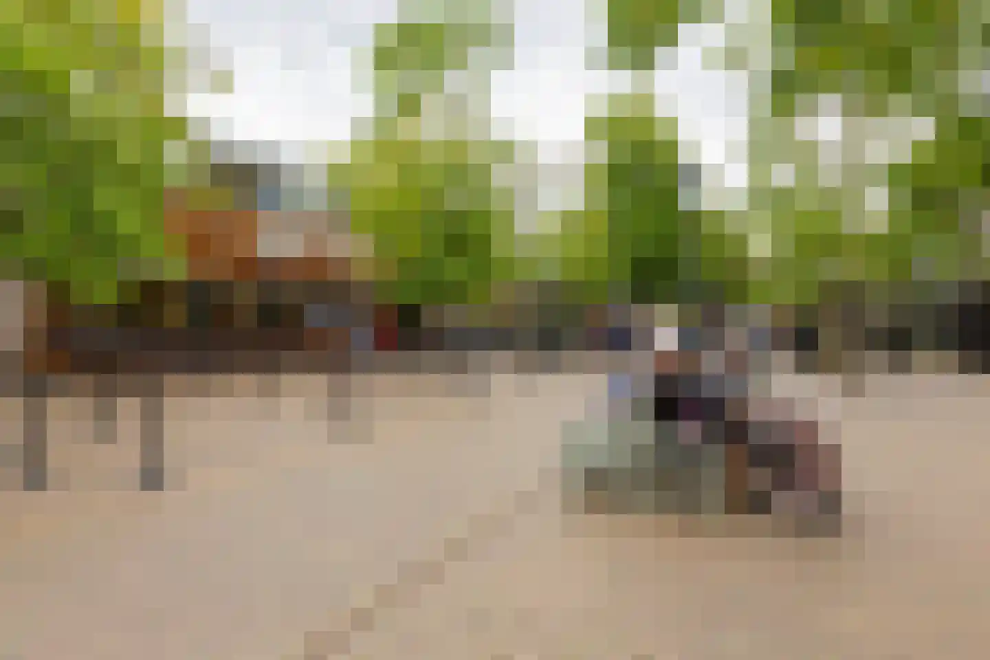 Roetersstraat 14 2 Amsterdam thumbnail 30