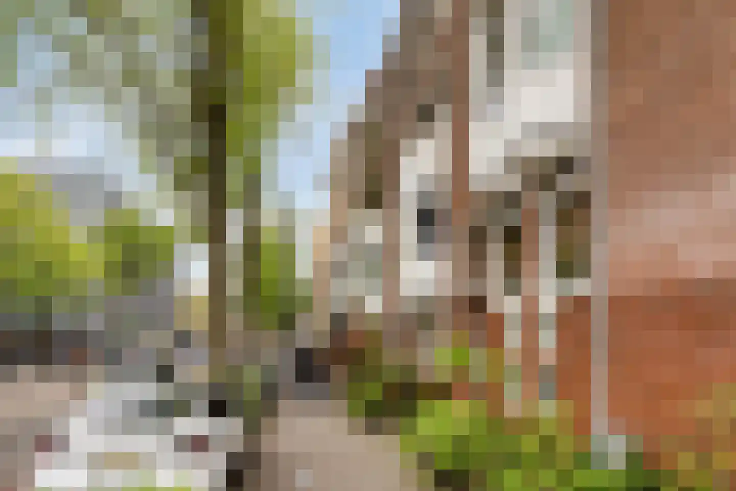 Roetersstraat 152 Amsterdam thumbnail 27