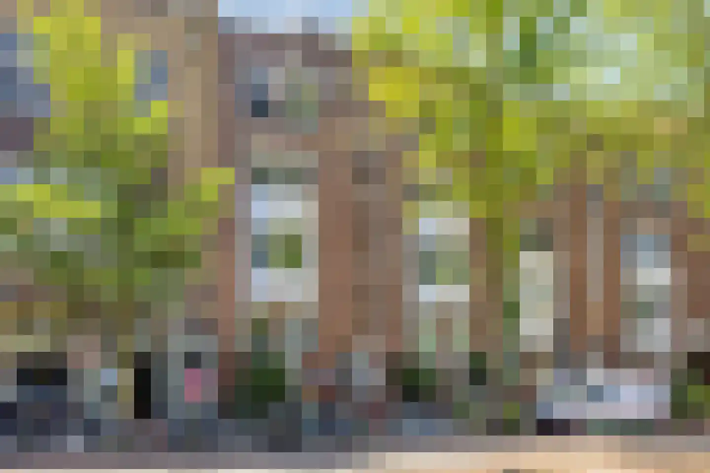 Roetersstraat 162 Amsterdam thumbnail 23
