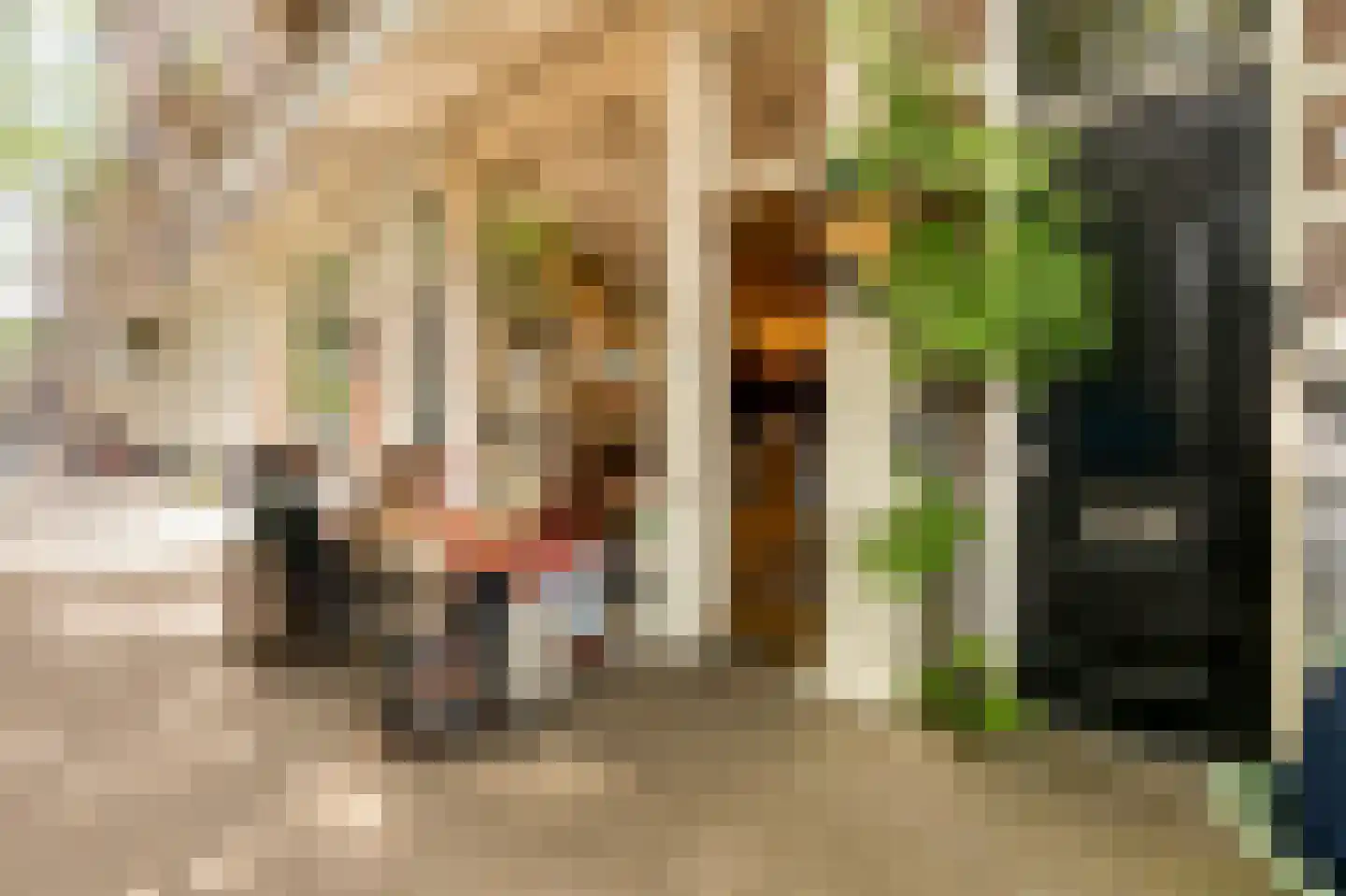 Roetersstraat 2 E Amsterdam thumbnail 29