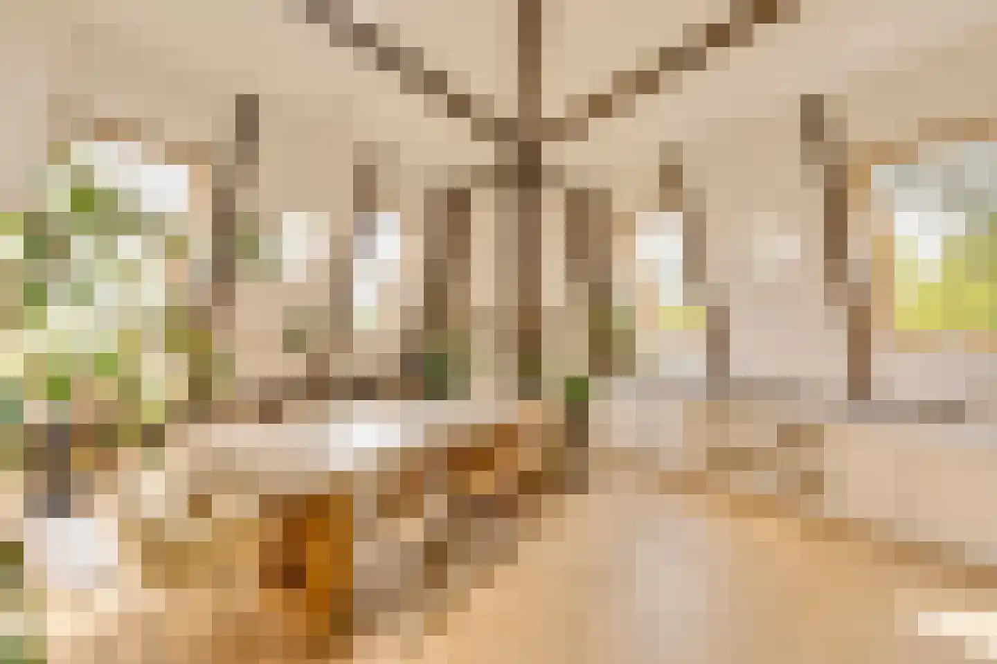 Roetersstraat 2 E Amsterdam thumbnail 6