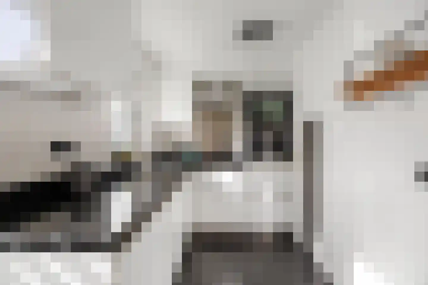 Roetgensgoed 14 Nijkerk thumbnail 13