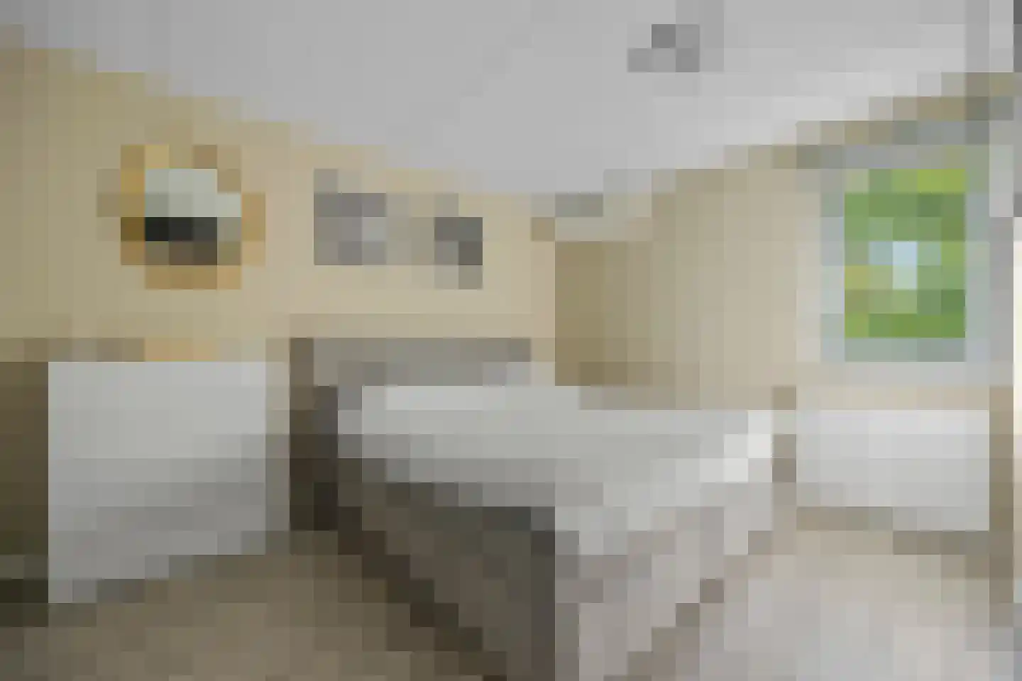Roetgensgoed 14 Nijkerk thumbnail 14