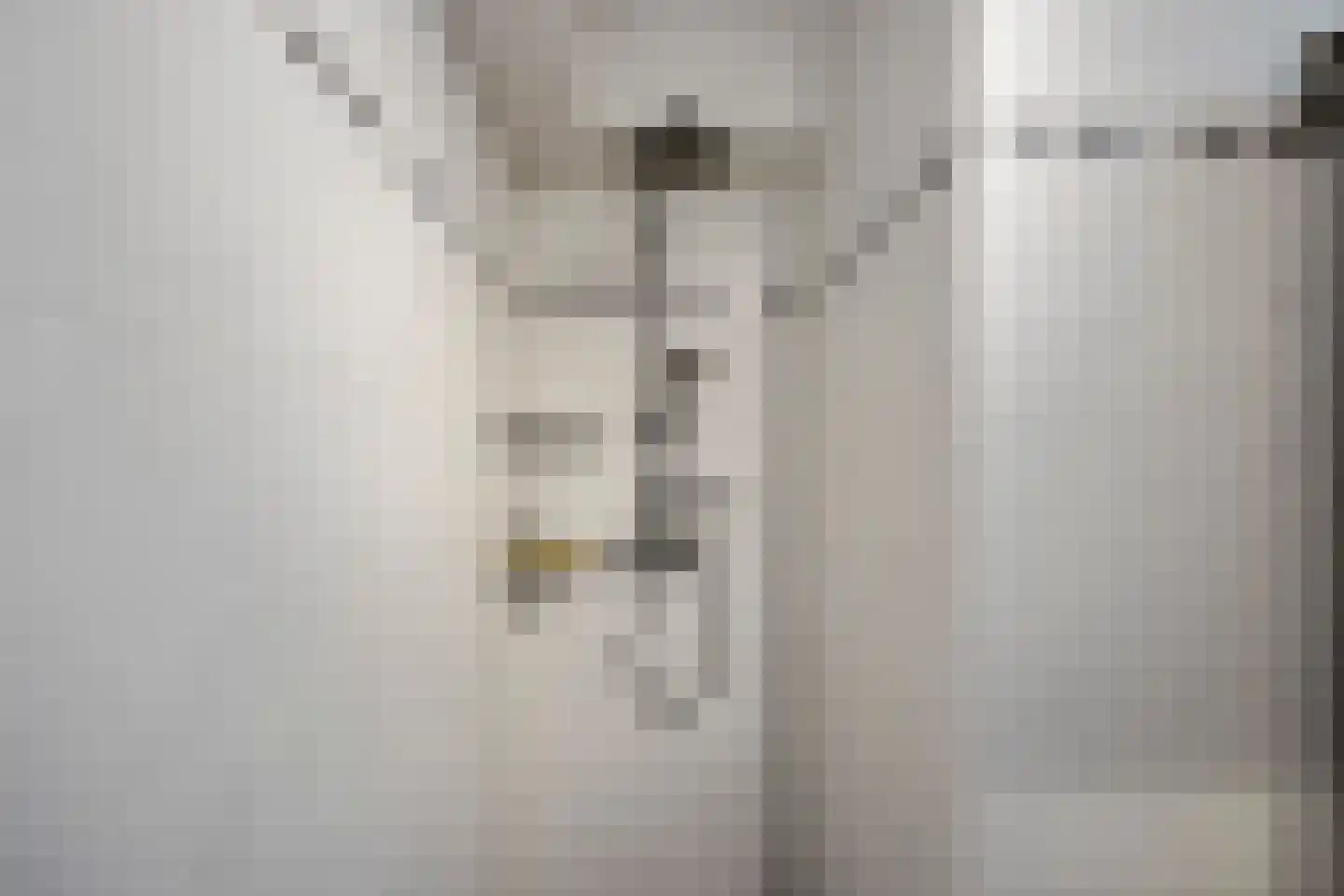 Roetgensgoed 14 Nijkerk thumbnail 18