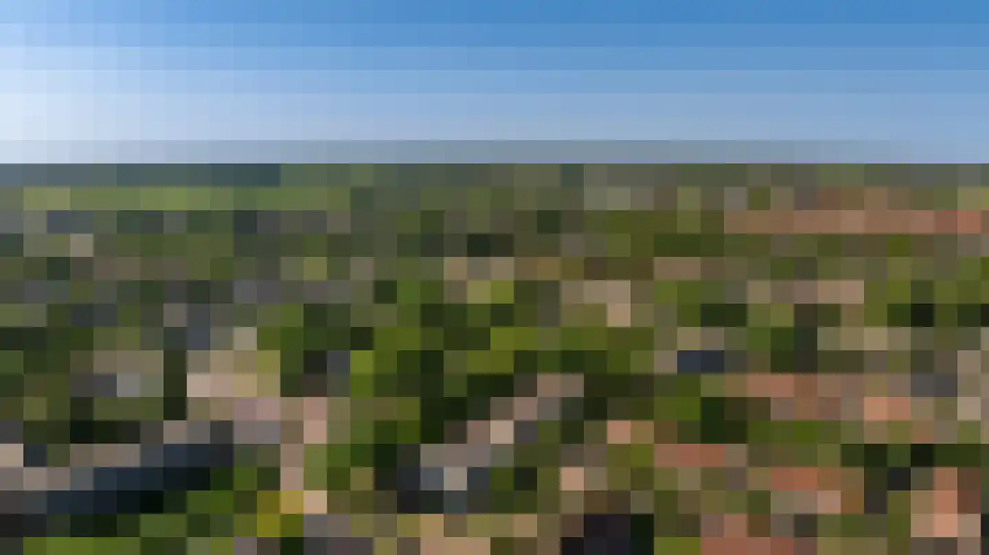 Roetgensgoed 14 Nijkerk thumbnail 4