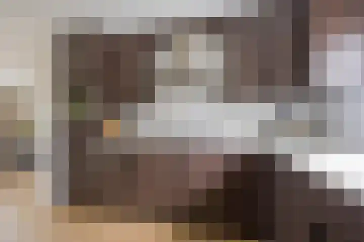 Roetgensgoed 17 Nijkerk thumbnail 10