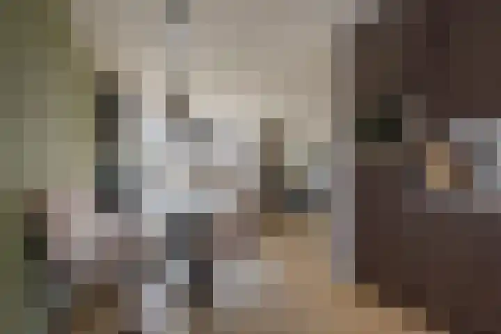 Roetgensgoed 17 Nijkerk thumbnail 11