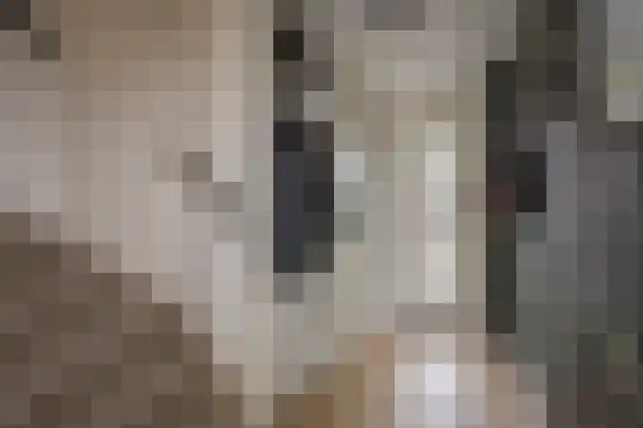 Roetgensgoed 17 Nijkerk thumbnail 13