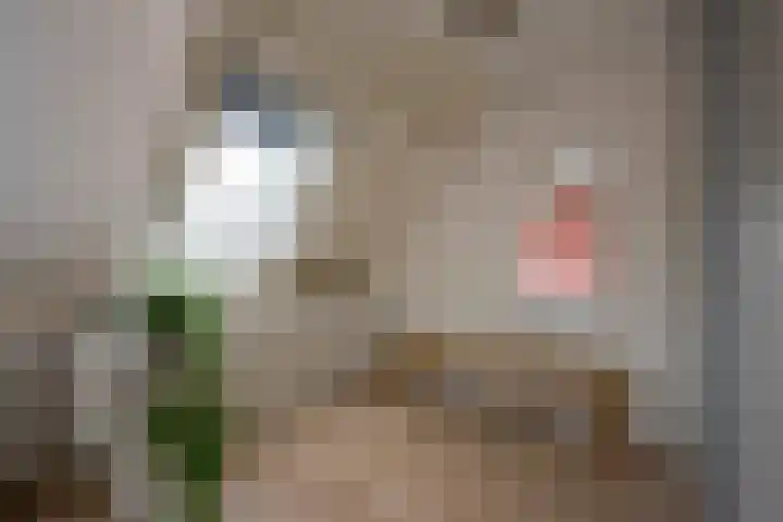Roetgensgoed 17 Nijkerk thumbnail 19