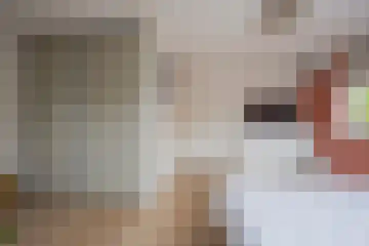 Roetgensgoed 17 Nijkerk thumbnail 21