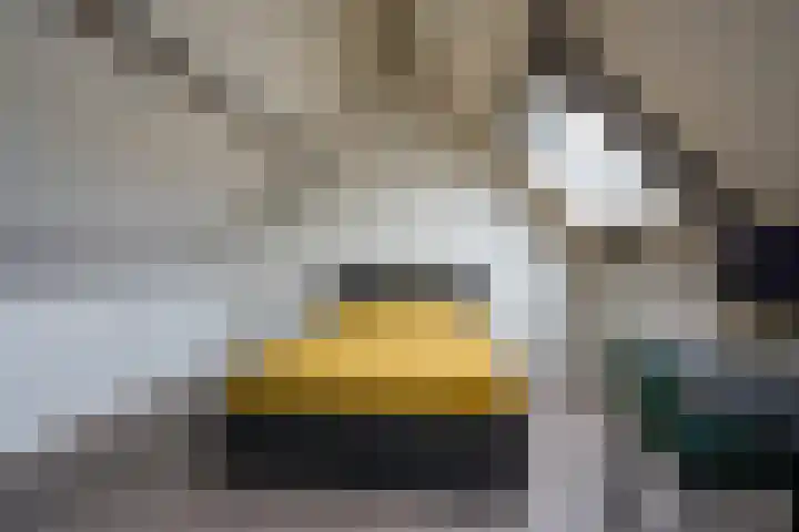 Roetgensgoed 17 Nijkerk thumbnail 26