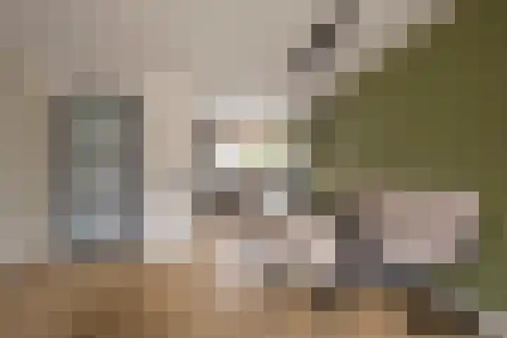 Roetgensgoed 17 Nijkerk thumbnail 8