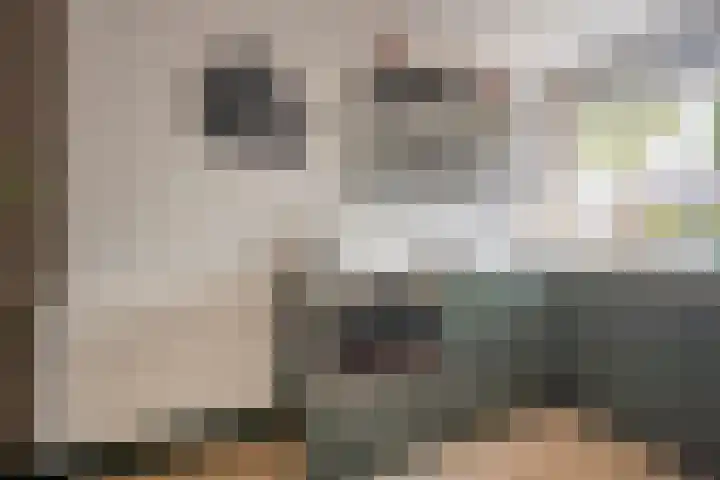 Roetgensgoed 54 Nijkerk thumbnail 10