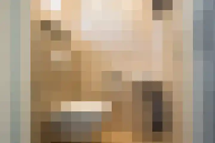 Roetgensgoed 54 Nijkerk thumbnail 11
