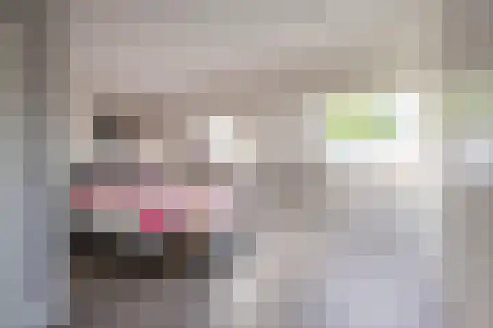 Roetgensgoed 54 Nijkerk thumbnail 14