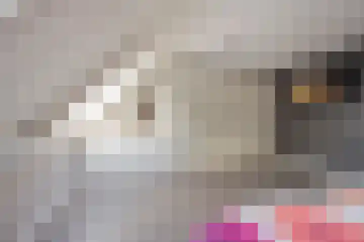 Roetgensgoed 54 Nijkerk thumbnail 15