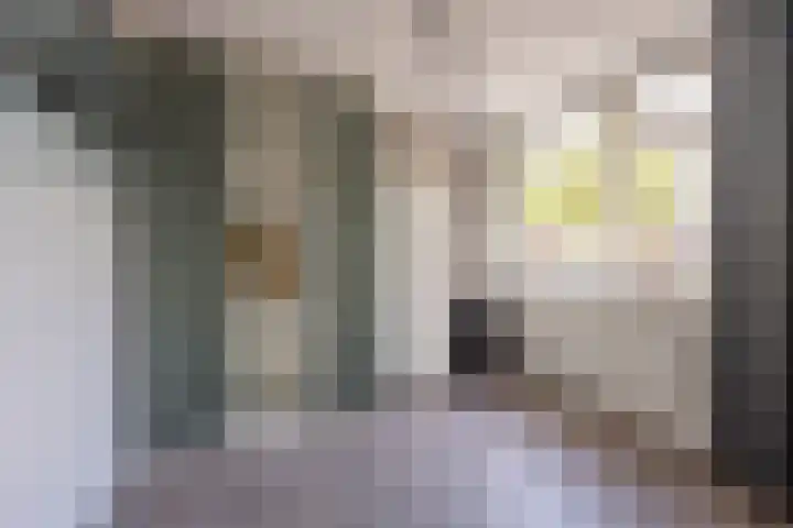 Roetgensgoed 54 Nijkerk thumbnail 17