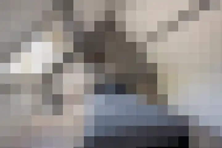 Roetgensgoed 54 Nijkerk thumbnail 25