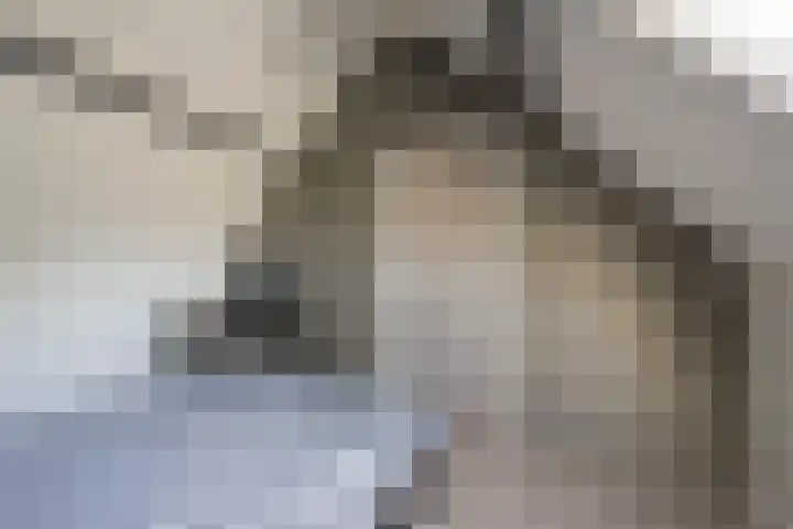 Roetgensgoed 54 Nijkerk thumbnail 26