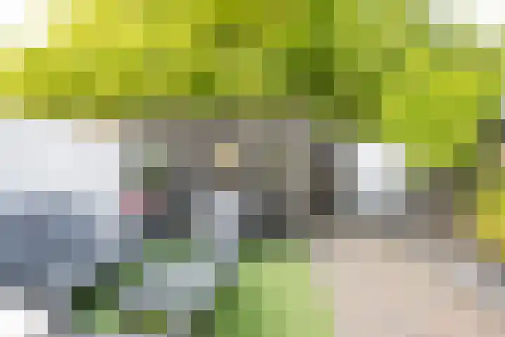 Roetgensgoed 54 Nijkerk thumbnail 28