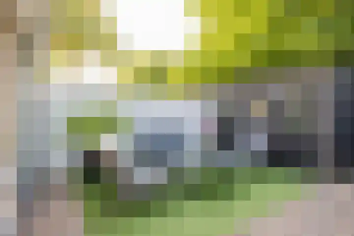 Roetgensgoed 54 Nijkerk thumbnail 29