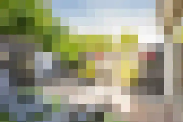 Roetgensgoed 54 Nijkerk thumbnail 30