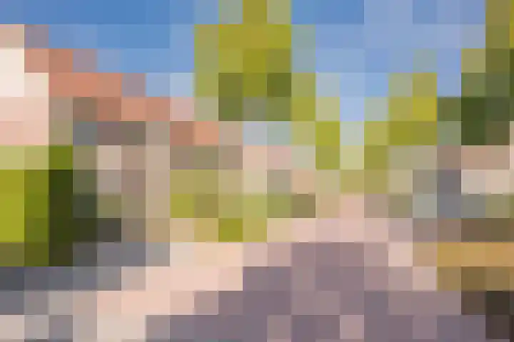 Roetgensgoed 54 Nijkerk thumbnail 32