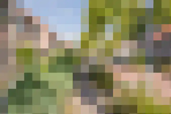 Roetgensgoed 54 Nijkerk thumbnail 33