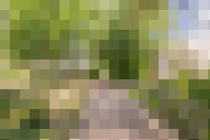Roetgensgoed 54 Nijkerk thumbnail 34
