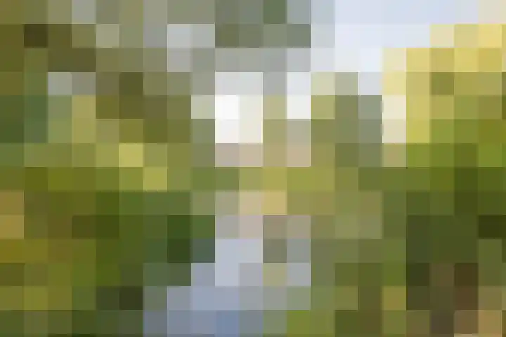 Roetgensgoed 54 Nijkerk thumbnail 35