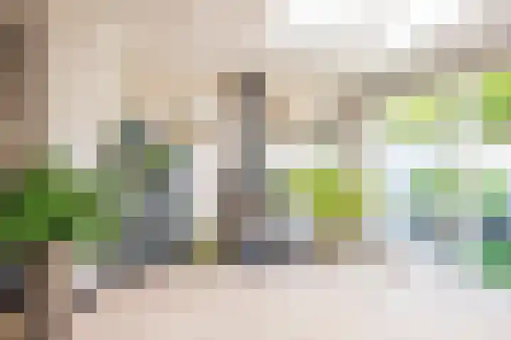 Roetgensgoed 54 Nijkerk thumbnail 6
