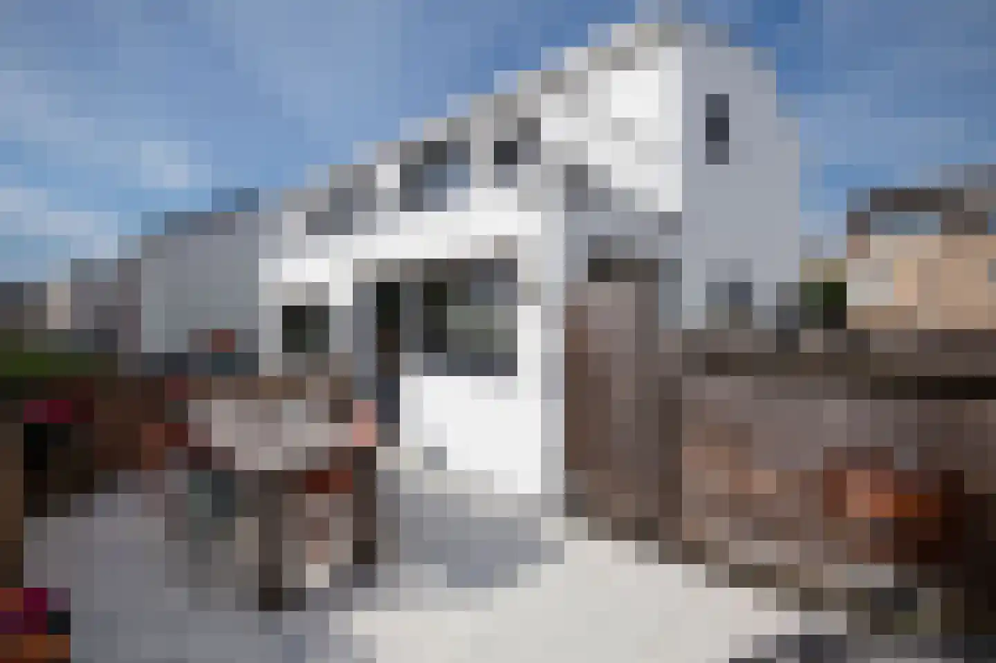 Roevoetsstraat 12 Valkenburg thumbnail 11