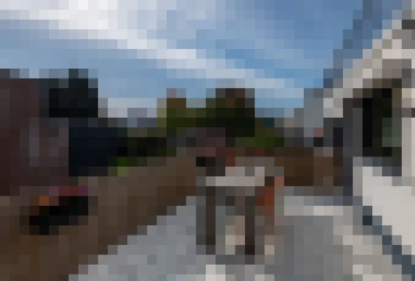 Roevoetsstraat 12 Valkenburg thumbnail 12