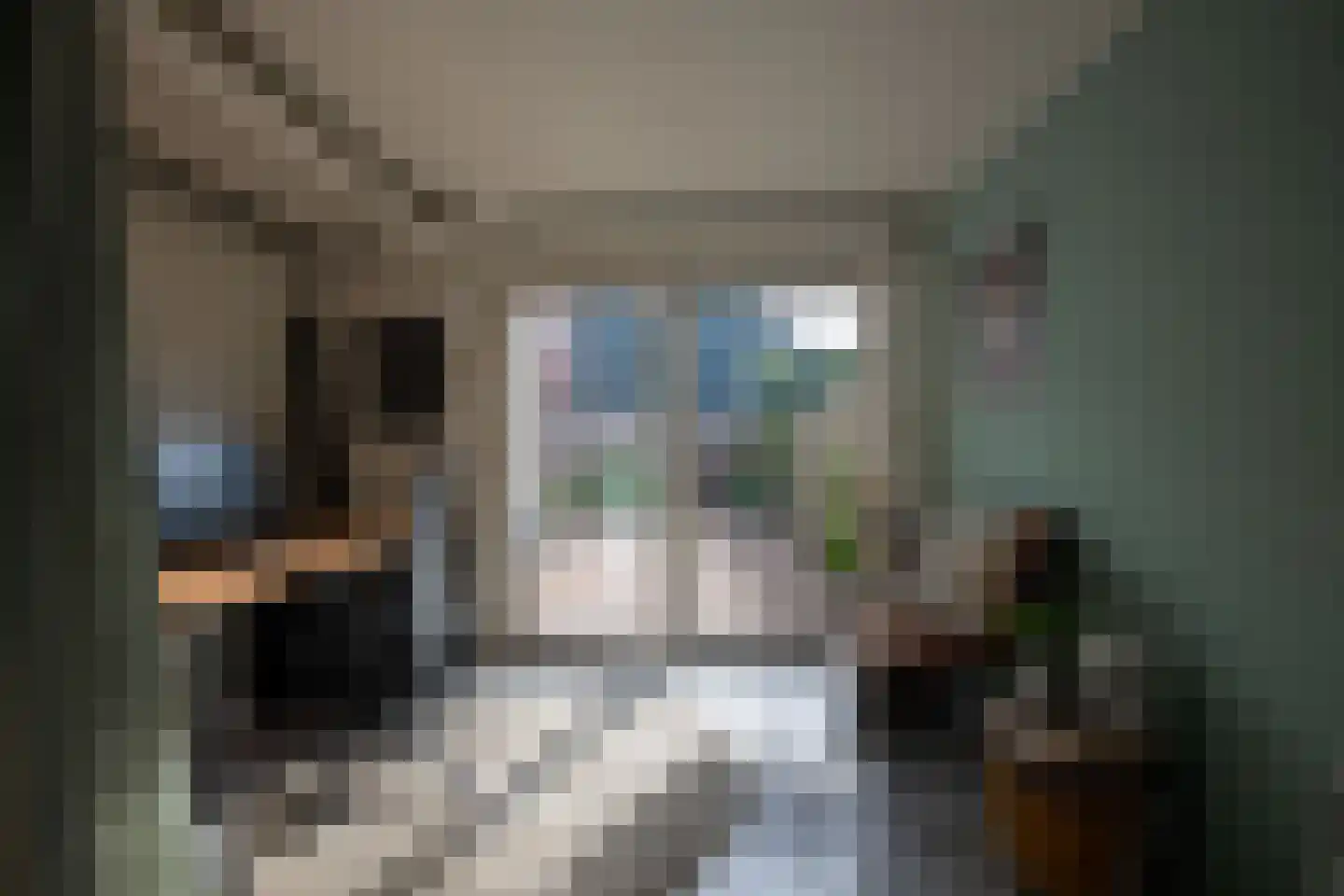 Roevoetsstraat 12 Valkenburg thumbnail 23