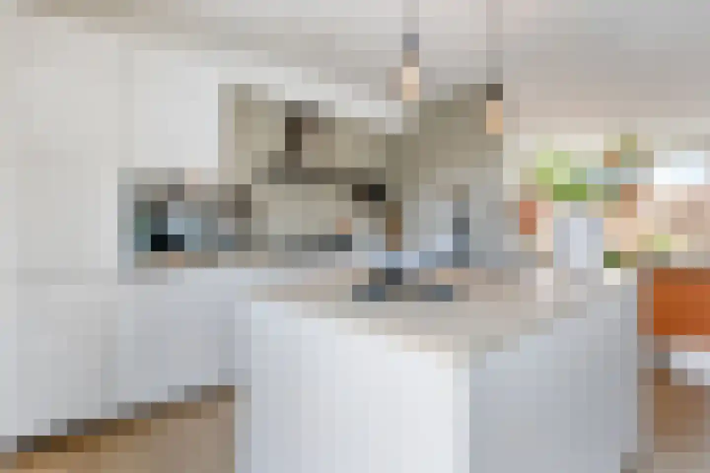 Roffart 10 Eindhoven thumbnail 15