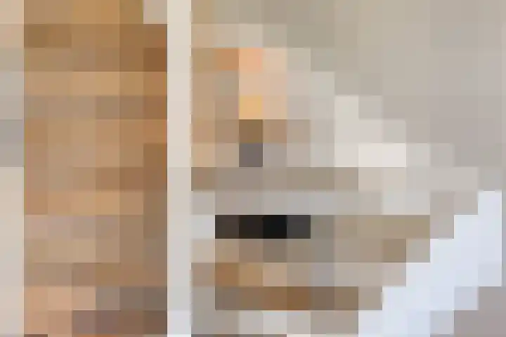 Roffart 10 Eindhoven thumbnail 21