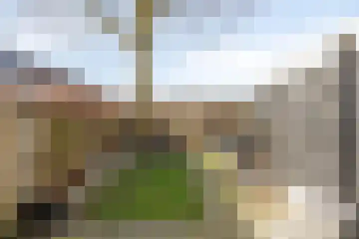 Roffart 10 Eindhoven thumbnail 40