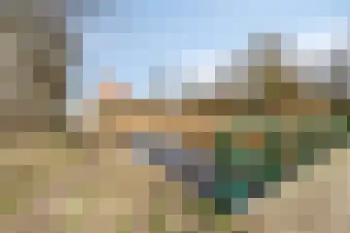 Roffart 10 Eindhoven thumbnail 46