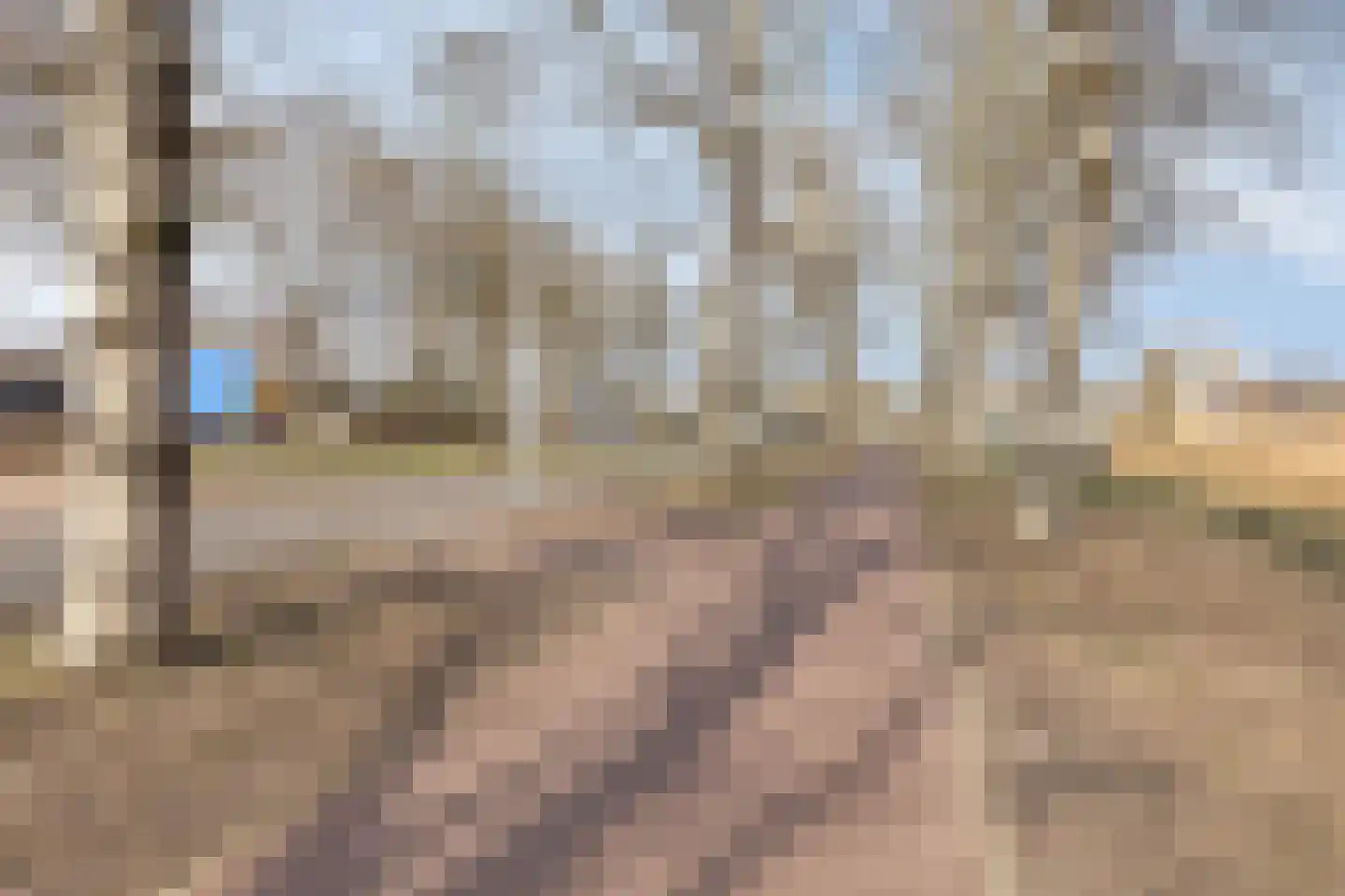 Roffart 10 Eindhoven thumbnail 47