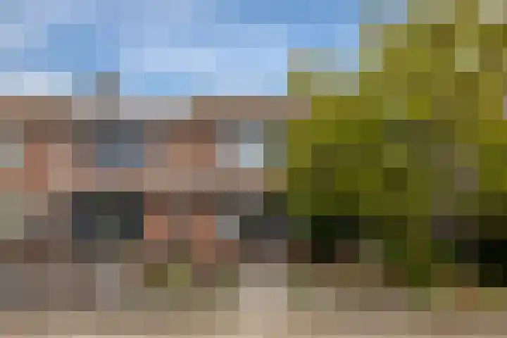 Rog 20 Hellevoetsluis