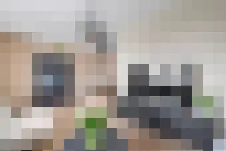 Rog 20 Hellevoetsluis thumbnail 12
