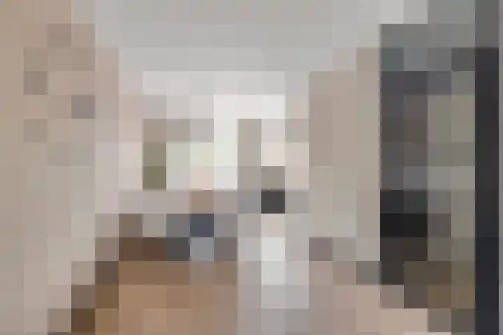 Rog 20 Hellevoetsluis thumbnail 14