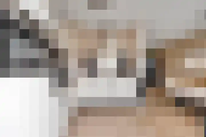 Rog 20 Hellevoetsluis thumbnail 17